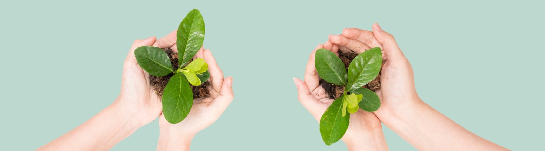 Banner - A relação entre treinamentos corporativos e sustentabilidade