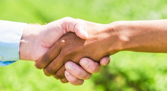 Esse é o caso de uma Central sulista que nasceu no campo e já se expandiu para todos os estados da região Sul. Saiba mais!