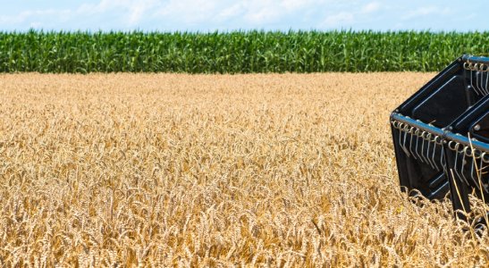 Conheça diversos tipos de consórcios para o produtor rural – de máquinas e implementos a drones, semoventes e terrenos.