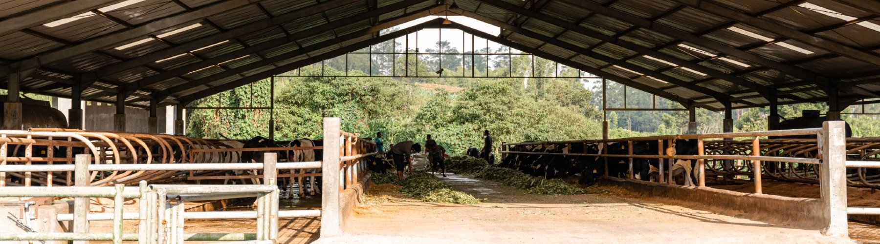 Banner - Cooperativas incentivam produtores a protegerem patrimônio