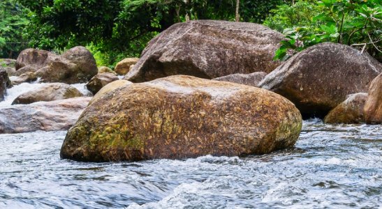 Cooperativa reúne parceiros para a conservação do rio Camboim, em São Miguel do Oeste, SC.