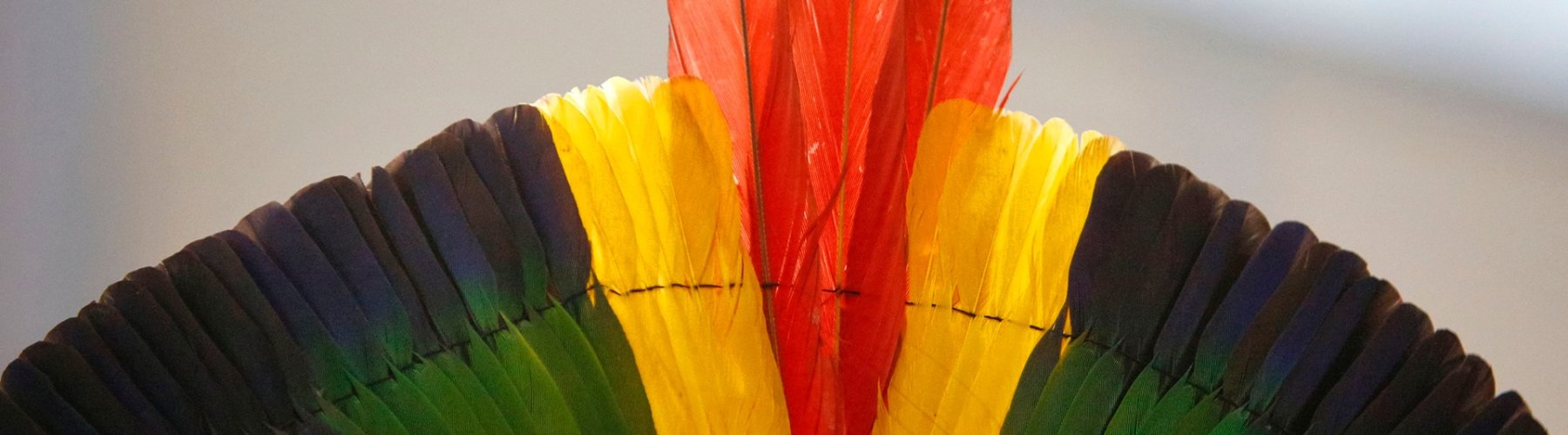 Banner - <strong>Cooperativa indígena: conheça essa iniciativa pioneira</strong>