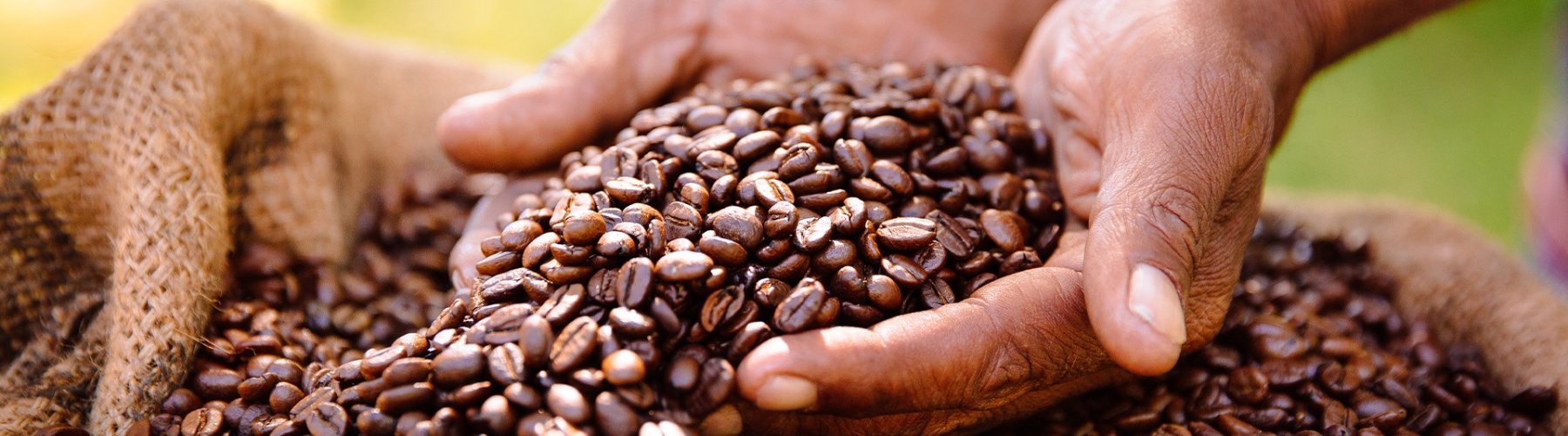 Banner - <strong>O Funcafé e o crédito rural cooperativo</strong>