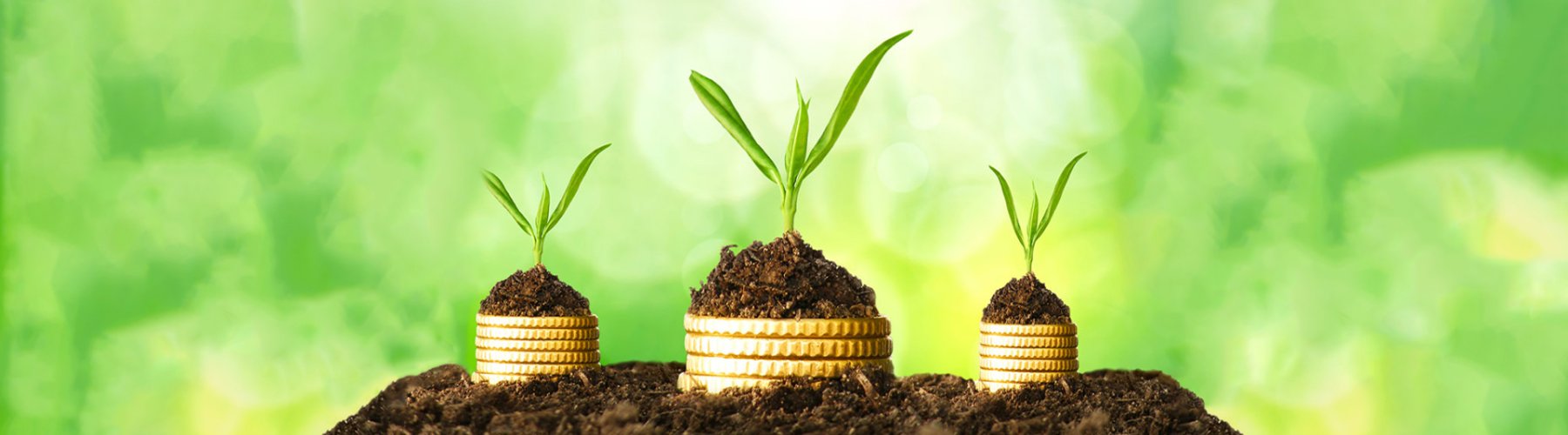 Banner - <strong>Pagamento por Serviços Ambientais: entenda!</strong>