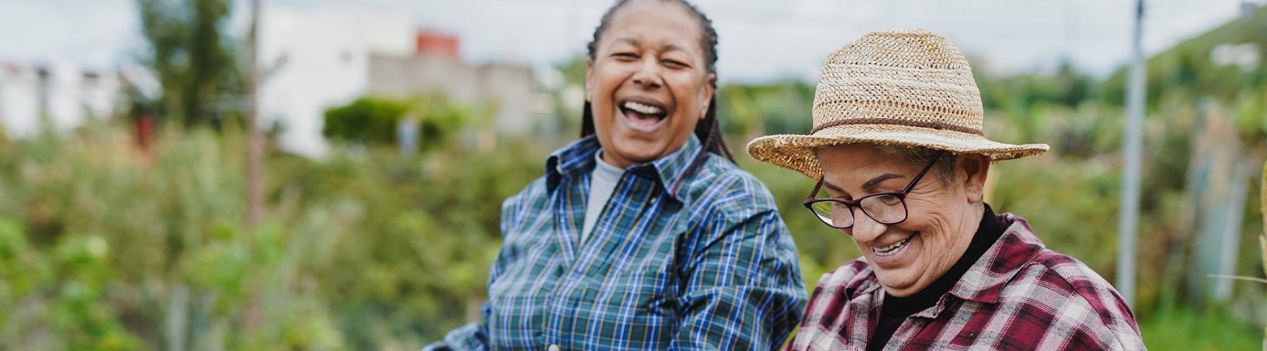 Banner - O cooperativismo e seu poder de transformação social 