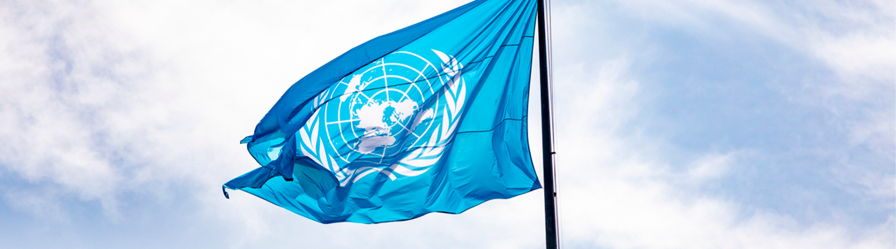 Banner - ONU declara 2025 como o Ano Internacional das Cooperativas