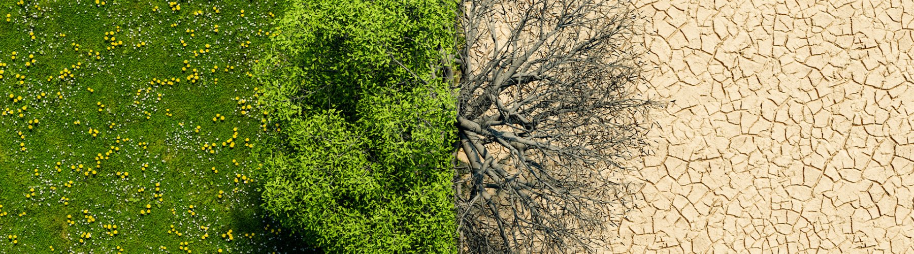Banner - Mudanças Climáticas e Economia: como o clima pode afetar o seu bolso — e o que fazer para evitar?